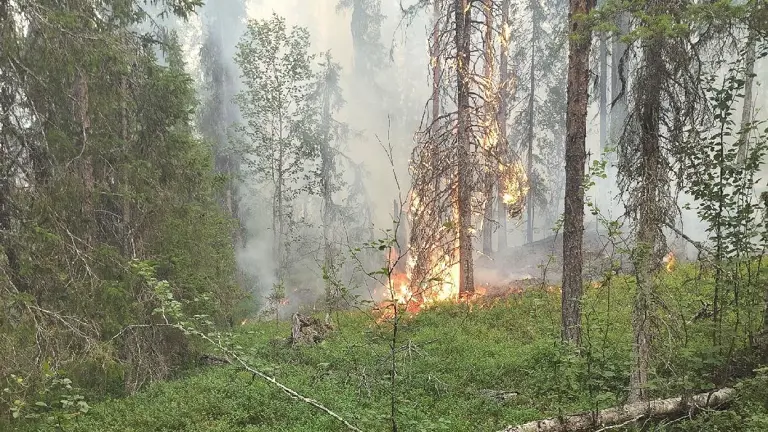 Information om pågående skogsbrand i Jokkmokks kommun