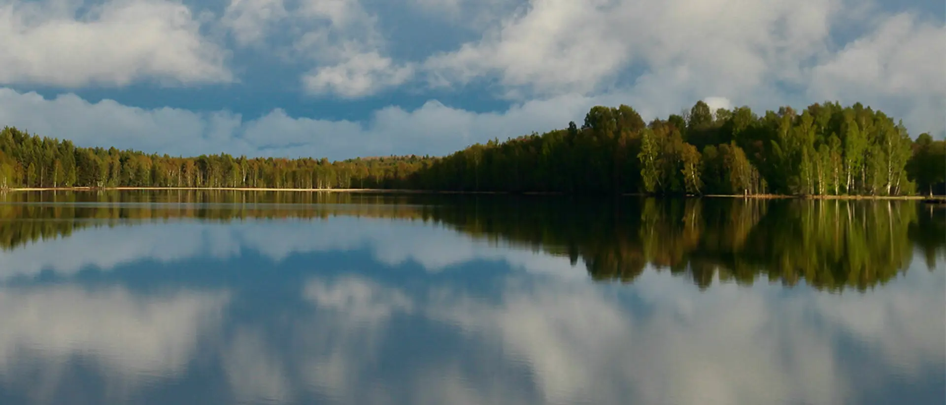 Sjö omgiven av skog. Foto.