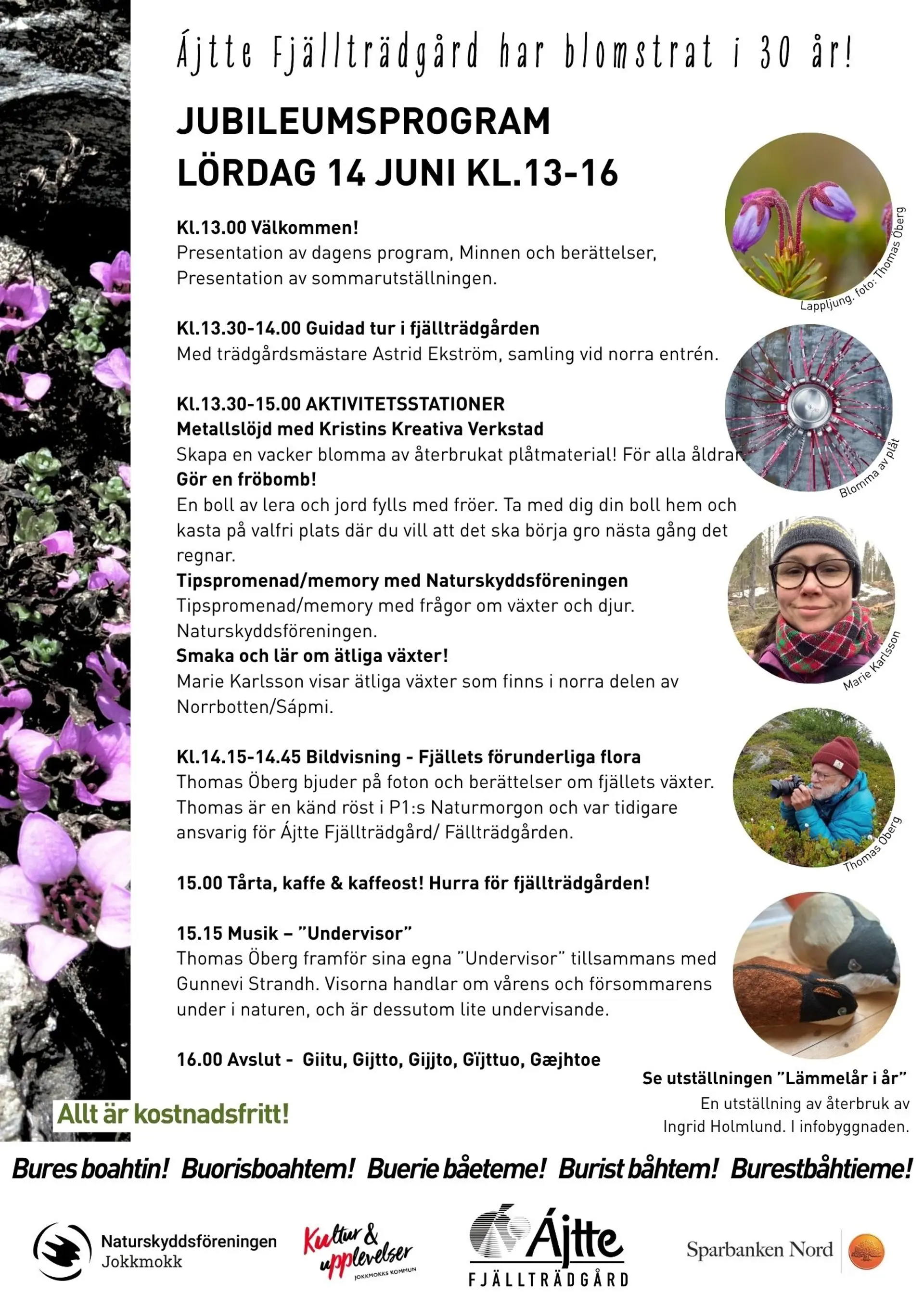 Jubileumsprogram Ájtte Fjällträdgård 30 år, 14 juni 2025