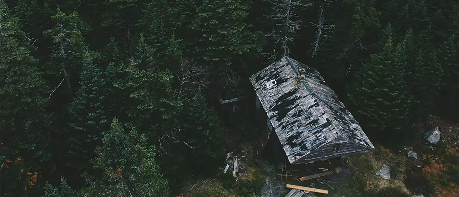 Fallfärdigt hus i en skog. Foto.