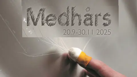 Vernissage för utställningen "Medhårs"