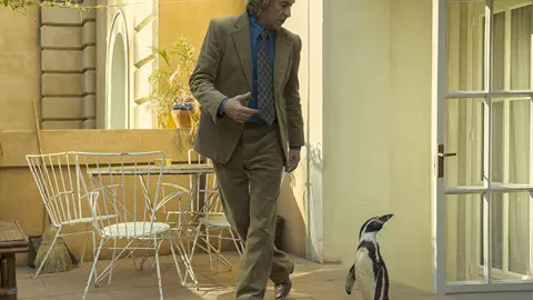 Bio i Jokkmokk: The Penguin Lessons